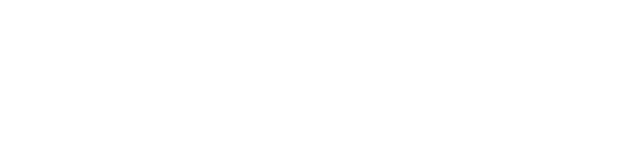 piandpi